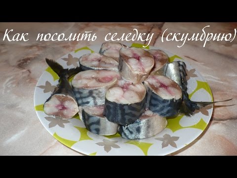 Как посолить селедку для копчения в домашних условиях