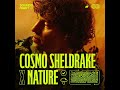 Cosmo Sheldrake - Soil ft. Nature