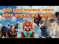 একটি কুকুর যমরাজকে বোঝাল কলির মানুষের কত ক্ষমতা।Motivational Video in Bengali