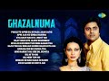 Ghazalnuma | Jagjit Singh & Chitra Singh | Dil Mein Tum Ho | Love Ghazals | Hindi Ghazals | Gazal