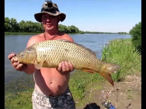 рыболовные базы на реке кигач рыболовные базы на реке кигач