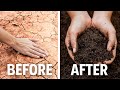 3 Ingredients to Fix ANY Soil, the Lazy Way