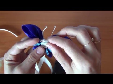 Как сделать бабочку казанши