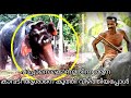 മദപ്പാടിൽ അടുത്തുപോയ പാപ്പാനെ കൊന്നു തിന്ന ആന കാവടി ആശാനേ കുത്തിയപ്പോൾ | Elephant video attack