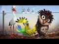 A Stork's Journey Animated Adventure Movie Explained in Hindi/Urdu |Movie Explained