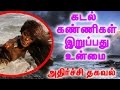 Download கடல் கண்ணிகளை பற்றின அதிர்ச்சி தகவல்! | Mermaids Do Exist In Pennsylvania! mp4 3gp mp3 videos - waplic