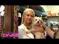 Maryse gets emotional when she finds another dog to adopt: Total Divas Bonus Clip, Nov. 30, 2016