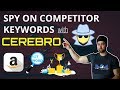 Helium 10 Cerebro tutorial | EXTRACT AMAZON COMPETITOR KEYWORDS with a Reverse ASIN Lookup
