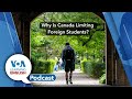 Learning English Podcast - Farmer Demonstrations, Super Bowl Costs, Student Visas, Japan Poverty