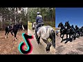 The Cutest HORSES Equestrian TikToks Compilation 76
