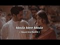Maula Mere Maula - Slowed Reverb |  Aankhe Teri Kitni Hasi