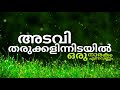 Adavi Tharukkalin Idayil | Malayalam Christian Song | Lyrical Video