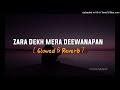 Zara Dekh Mera Deewanapan | Slowed & Reverb | Udit Narayan | Pujita Musics