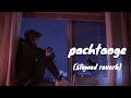 pachtaoge slowed reverb lofi song #pachtaogesong  slowed reverb #trending song