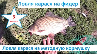 ловля крупных сазанов на фидер ловля крупных сазанов на фидер