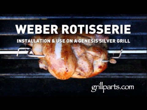 Weber Cooking Guide Pdf
