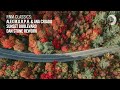 Alex M.O.R.P.H. & Ana Criado - Sunset Boulevard (Dan Stone Rework) [VOCAL TRANCE CLASSICS]