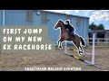 FIRST JUMP on my EX-RACEHORSE ||  Not what I expected!! || Equestrian Melissa Eventing