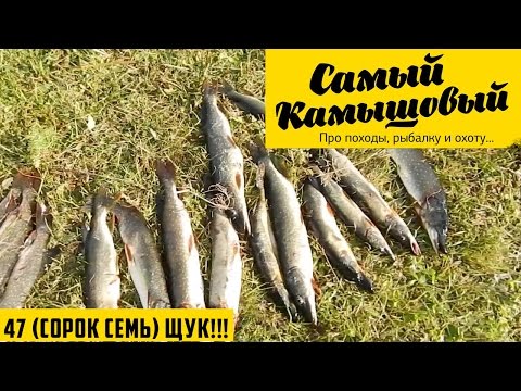 как ловить щуку на тоболе как ловить щуку на тоболе