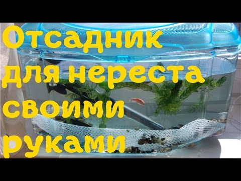 Как сделать отсадник своими руками