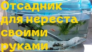 Нерестовик своими руками Нерестовик своими руками
