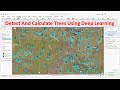ArcGIS Pro Detect and calculate Trees using deep learning