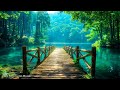 Soothing Music For Nerves 🌿 Piano Music Heals The Heart And Blood Vessels