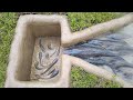 Amazing Hole Fish Trap- Smart Boy Build Fish Trap By Muddy soil ..