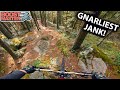 Is this the GNARLIEST trail on the North Shore? - Cypress Mtn