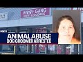 Florida pet groomer arrested on animal cruelty charges