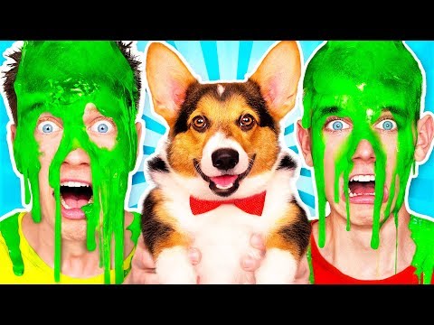 Dogs Pick our Mystery Slime Challenge 2 & How to Make the Best Funny DIY Orbeez Switch Up Game