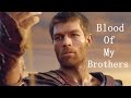 Spartacus II The Blood Of My Brothers