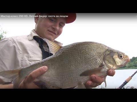 как выбрать место ловли леща видео как выбрать место ловли леща видео