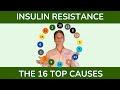 Insulin Resistance: Top Causes & Contributing Factors