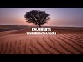 Didine Canon 16 X LARGO Solomente (vidéo Lyrics) [north african remix]