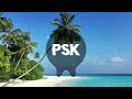 PSK - Summer Vibe