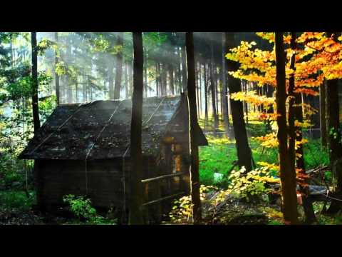 Как сделать дом the forest
