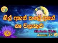 නිල් අහස් තලේ අගේ | Nil ahas thale age | Malshika Ranathunga | Sinhala Kids Jaanu TV