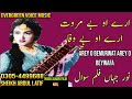 Noor jahan song | ary o be murawat arey o bewafa | urdu-hindi song | remix song | jhankar song