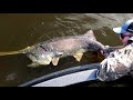 River Monsters 2 | Wisconsin