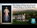 Mon. April 29 - Chaplet of the Divine Mercy from the National Shrine