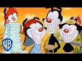 Animaniacs | The Warners' Best Pranks | Classic Cartoon Compilation | WB Kids