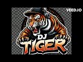 DJ BORN TIGER - WHAT´S THE DIFFERENCE (REMIX)