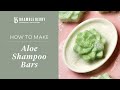 How to Make Aloe Shampoo Bars - Eco-Friendly Hair Care | Bramble Berry