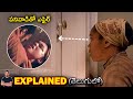 పనివాడితో ప్రేమాయణం | Movie Explained in Telugu | BTR Creations