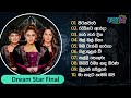 Top 10 Sinhala Songs Collection | Dream Star Season 11 Finale | Best Of Dream Star