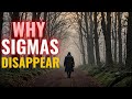The Dark Side of Sigma Males Why They Disappear