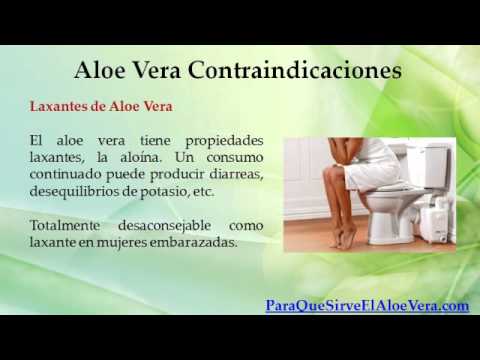 Propiedades curativas de la Sabila o Aloe Vera - Sabila Propiedades curativas de la Sabila o Aloe Vera - Sabila