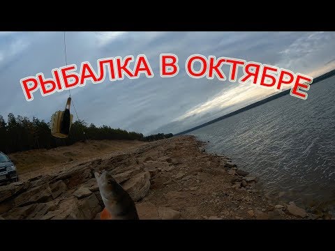 донная ловля в октябре донная ловля в октябре