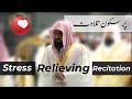 Stress Relieving Tilawat Recitation | Calm and Beautiful | Sheikh Shuraim | Light Upon Light